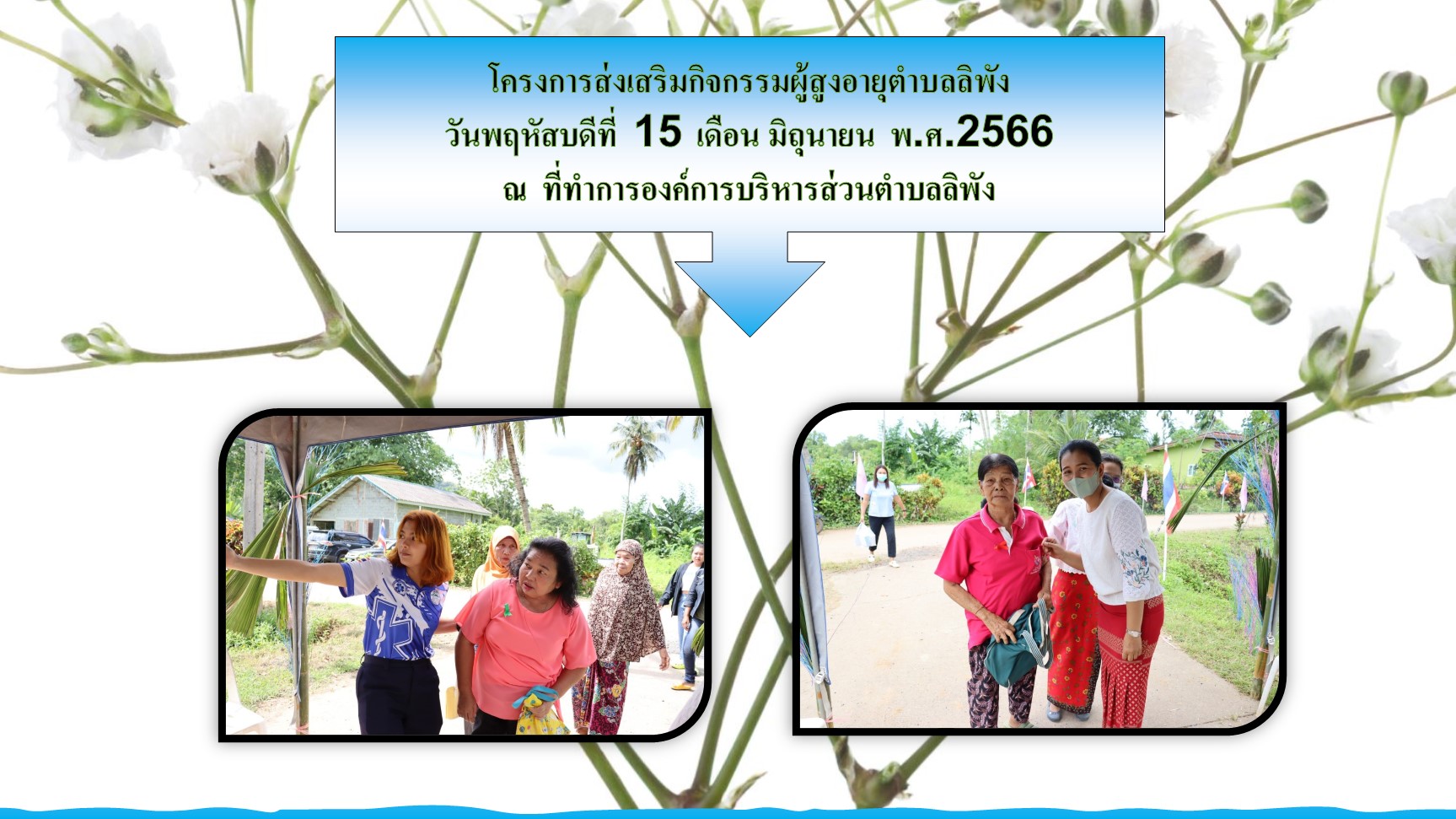 โครงการส่งเสริมกิจกรรมผู้สูงอายุตำบลลิพัง วันพฤหัสบดีที่ 15 มิถุนายน 2566 ณ ที่ทำการองค์การบริหารส่วนตำบลลิพัง